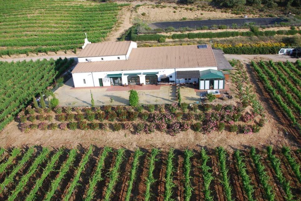 Апартаменты Bodegas Morosanto Ла-Симада Экстерьер фото
