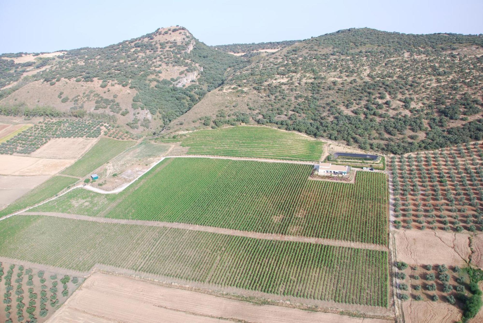 Апартаменты Bodegas Morosanto Ла-Симада Экстерьер фото
